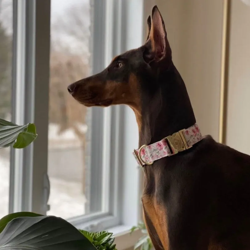 Daisy Collar