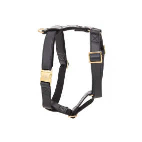 Dark Knight Gold Harness