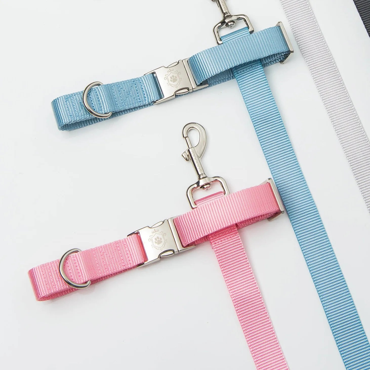 Tourmaline Leash & Harness Set